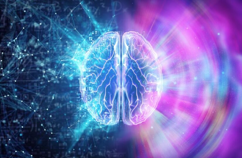 cerebro