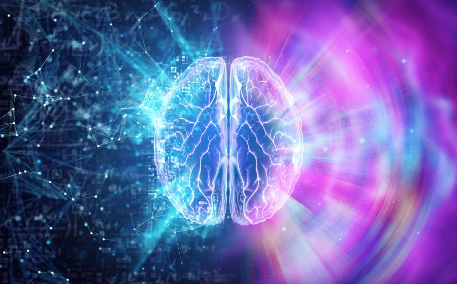 cerebro